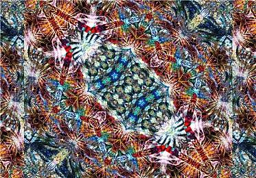 数据挖掘爆料 《暗黑破坏神4》新资料片12月12日揭晓